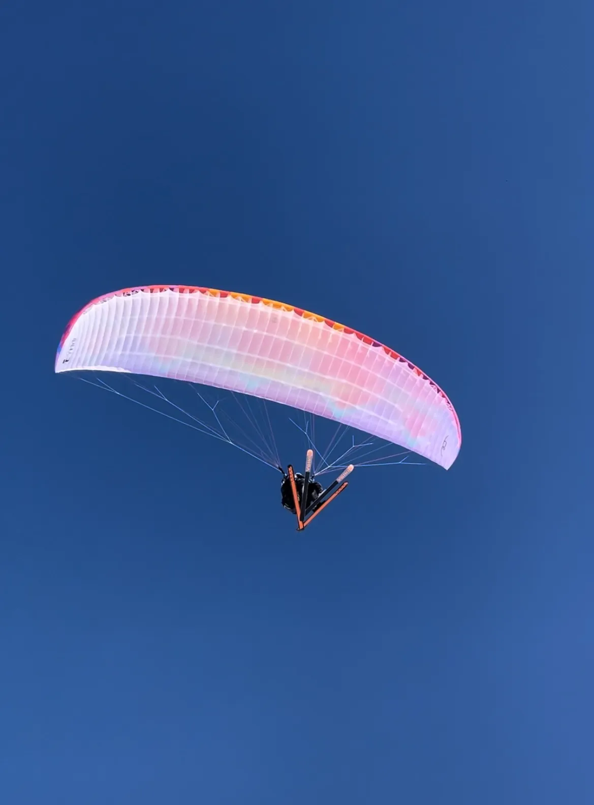Activités sportives