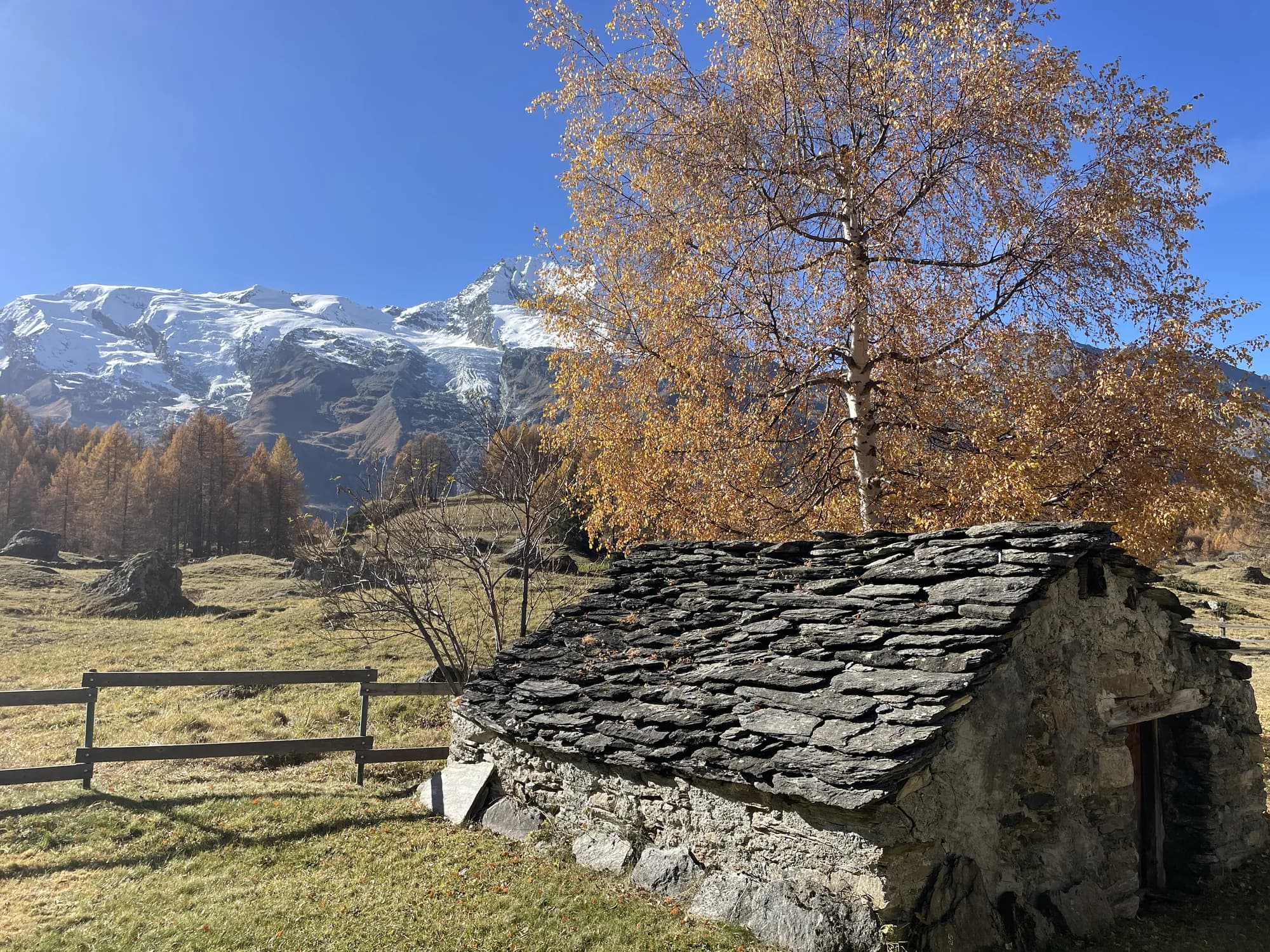 Mélèzes dorés et chalet d'alpage en automne, face aux sommets de la Vanoise