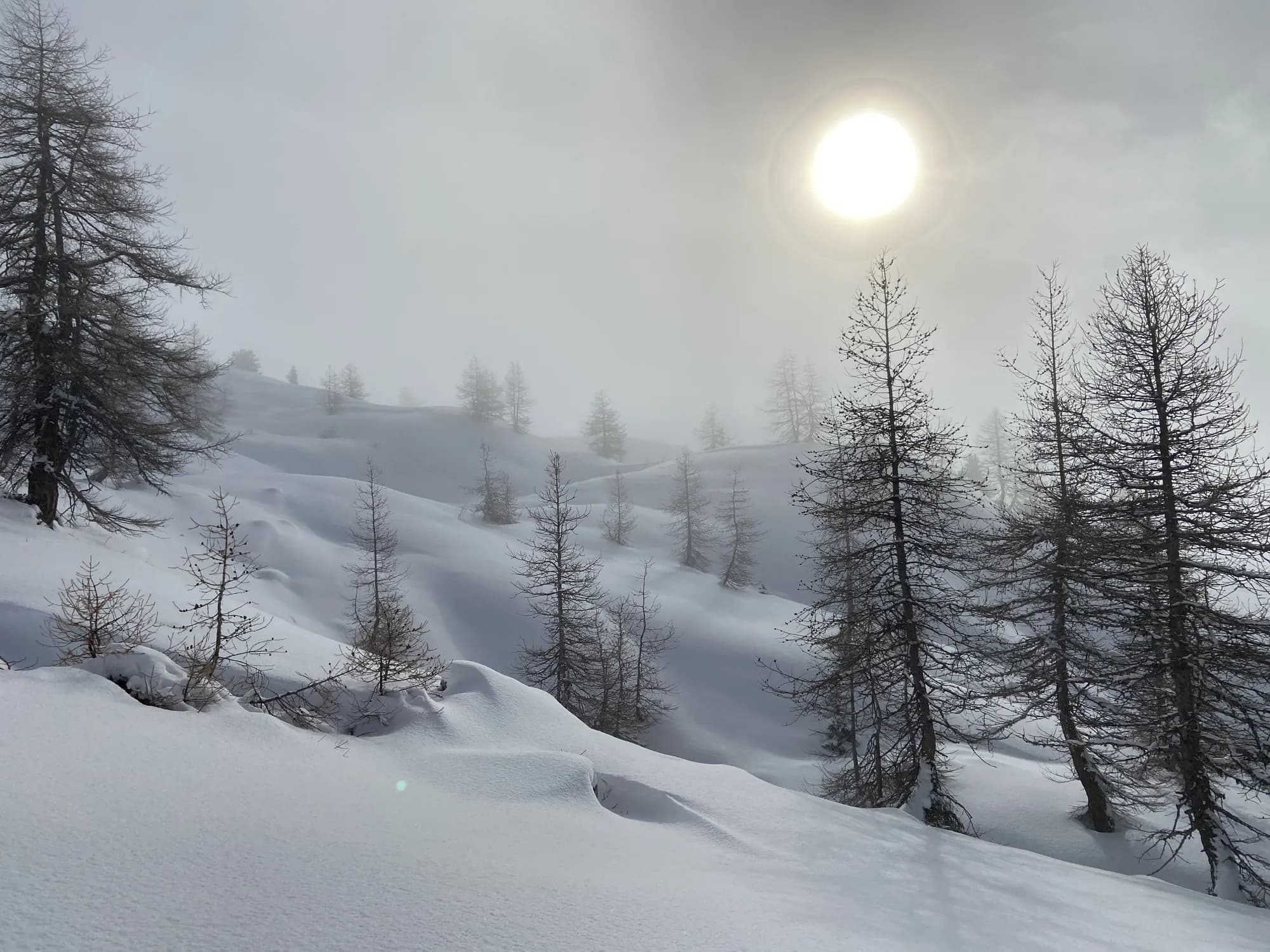 Hiver