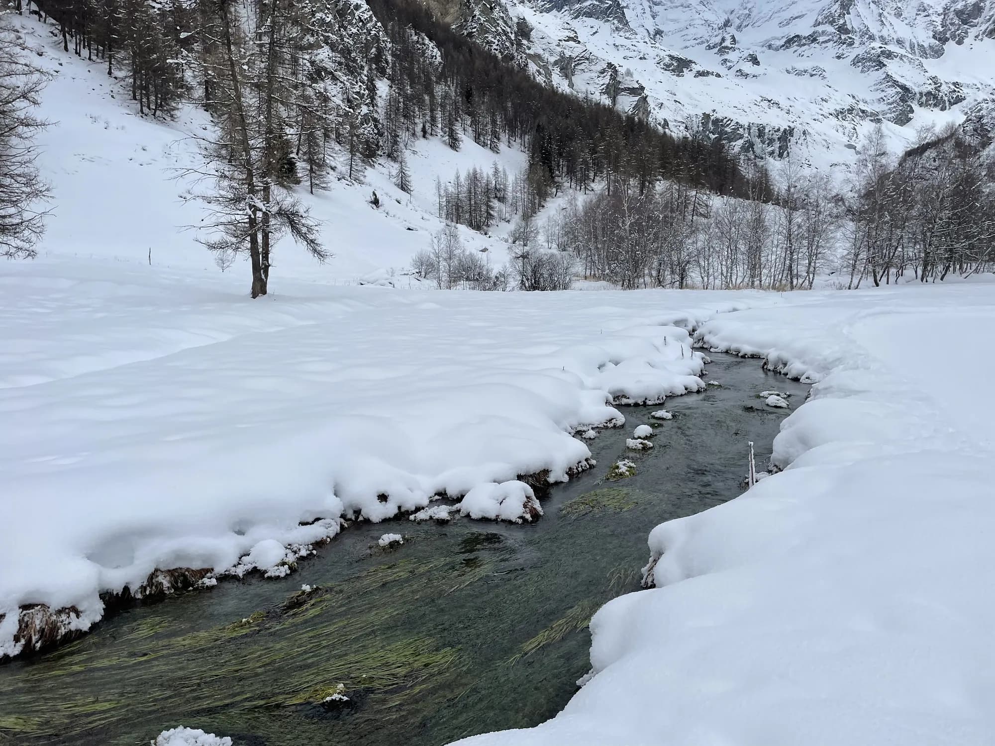 Hiver