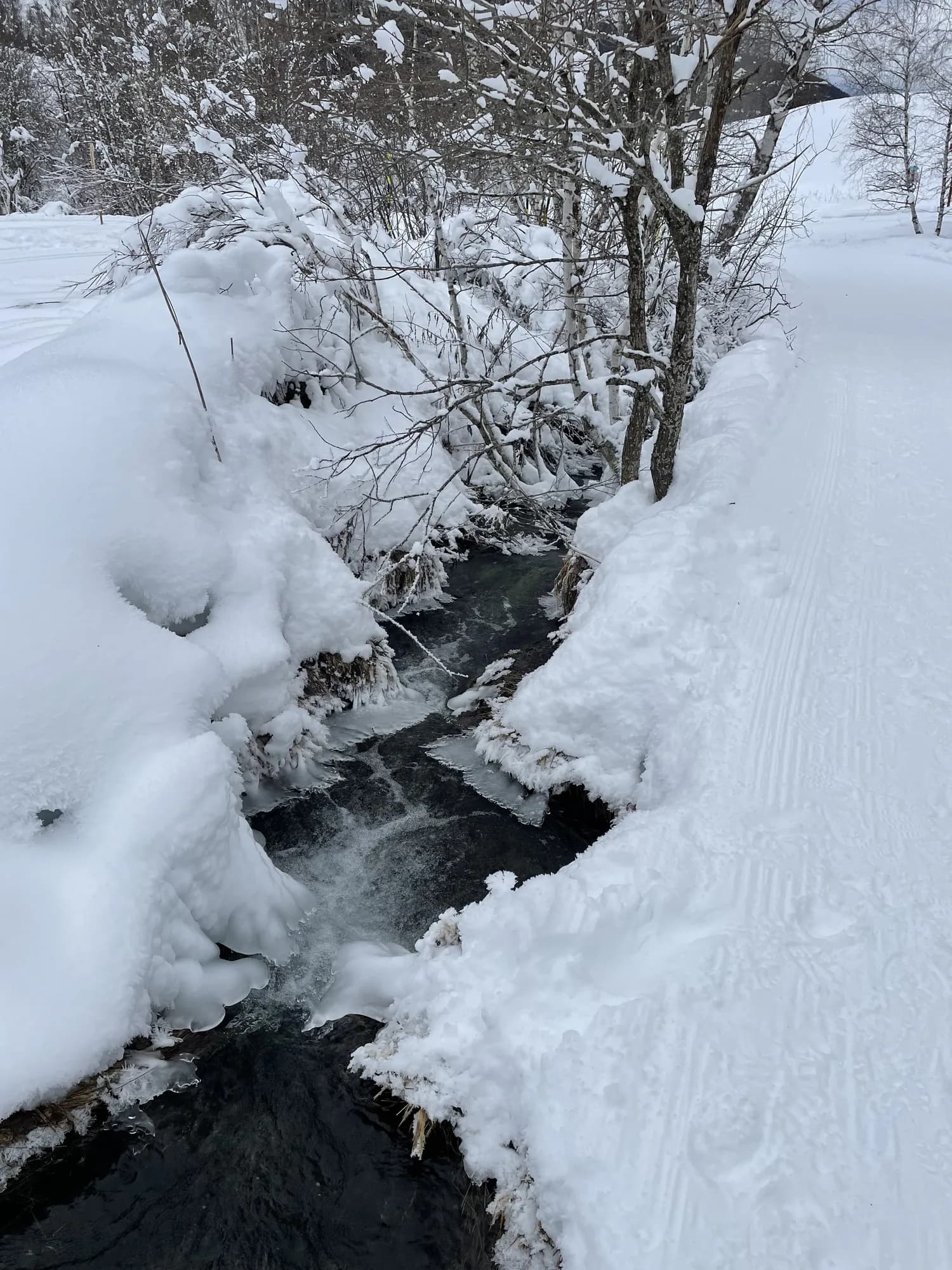 Paysage hivernal de la vallée du Ponthurin