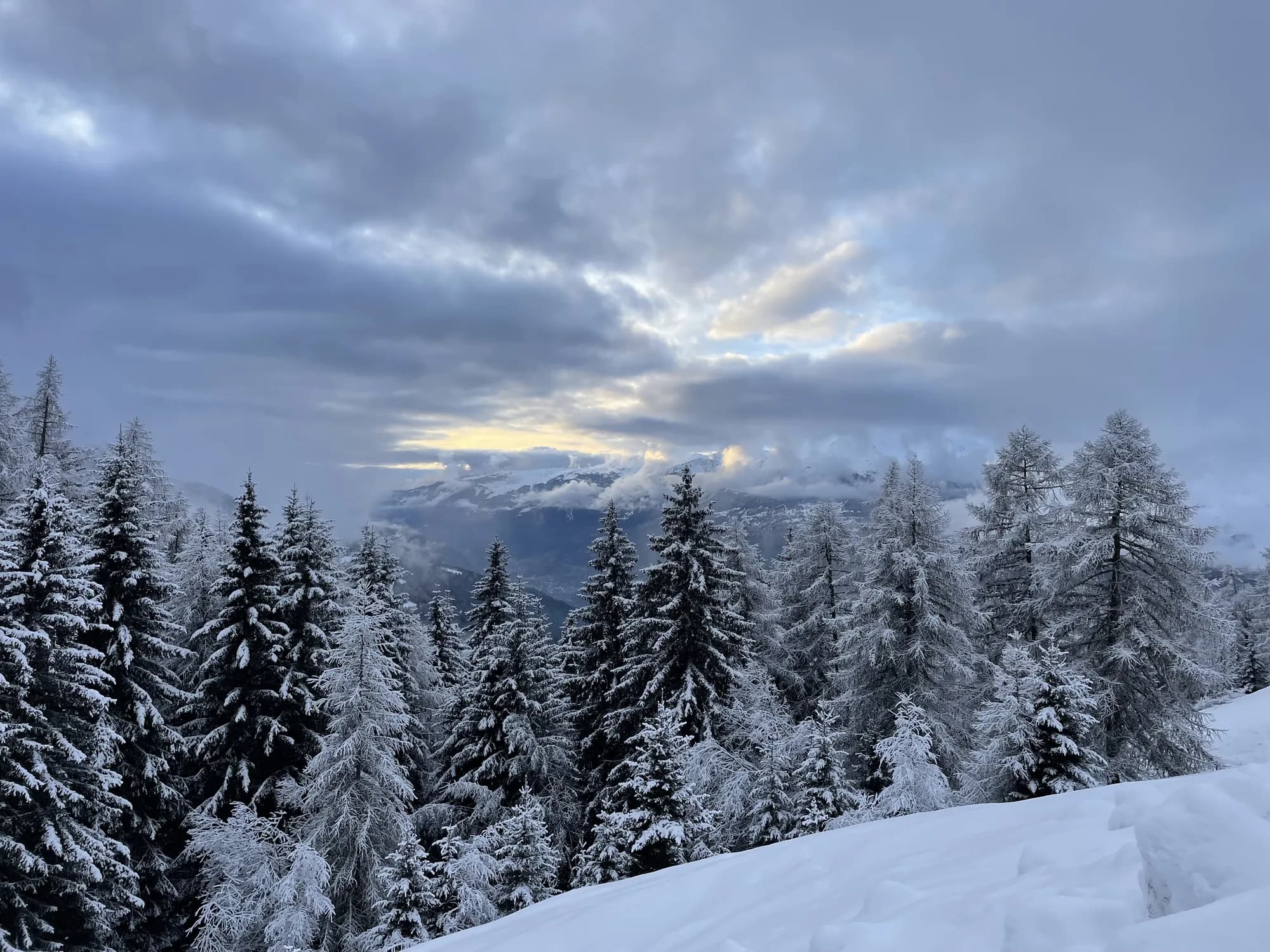 Hiver