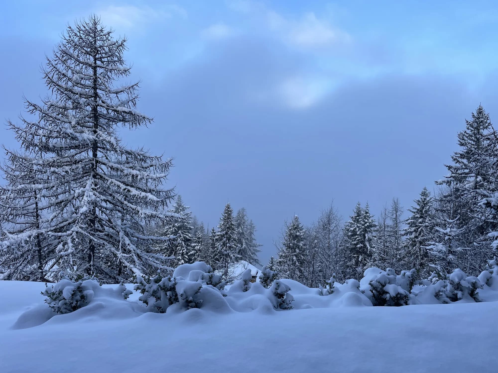 Hiver