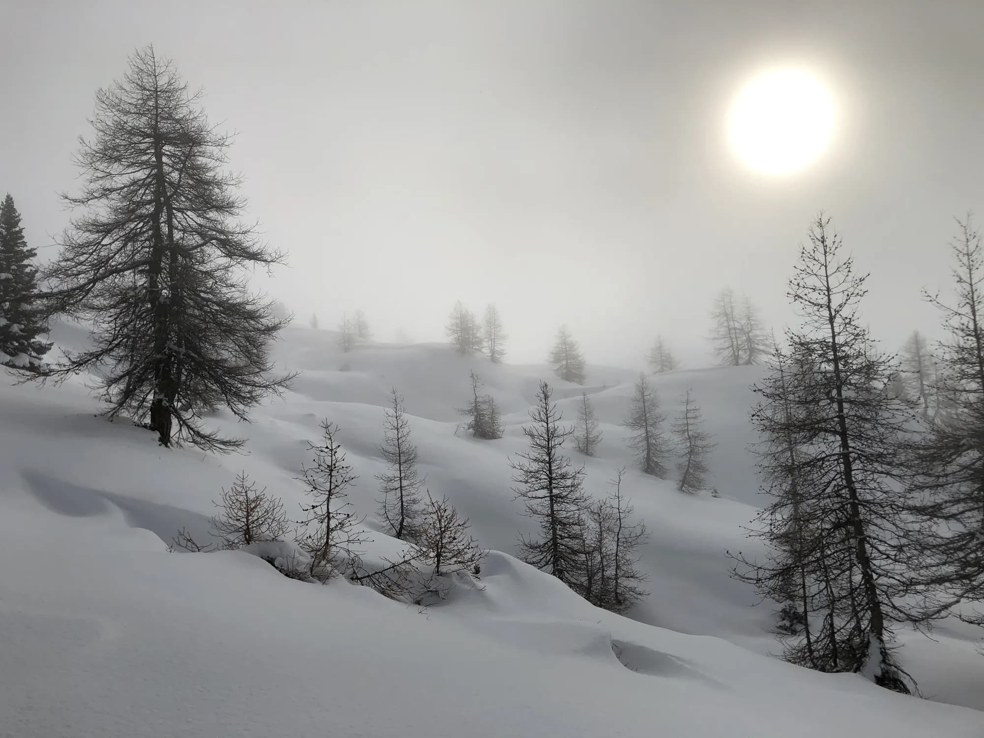 Hiver