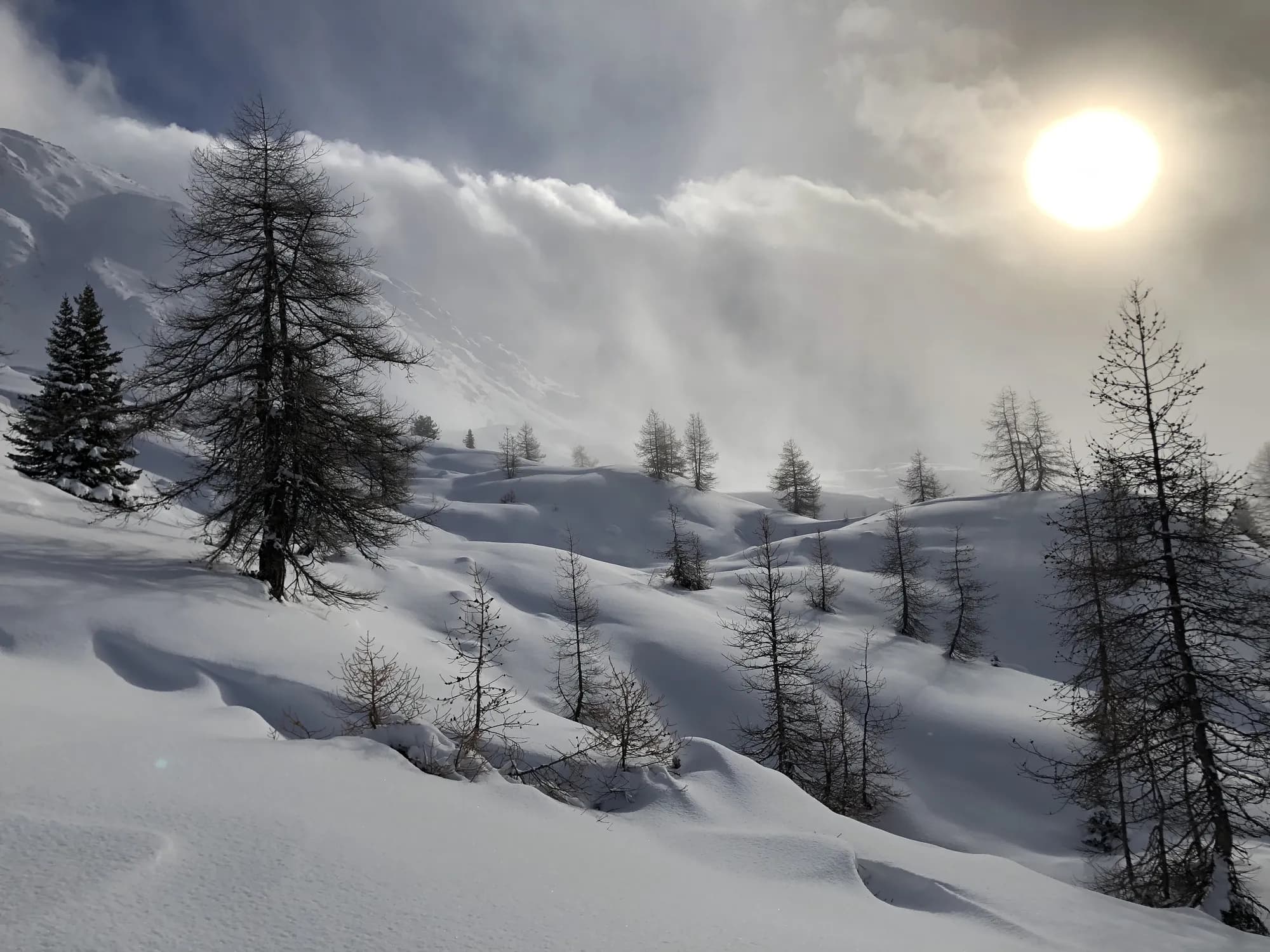 Hiver